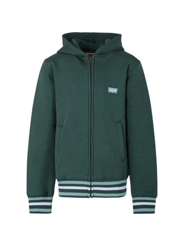 Levi's Kids Sweatshirt à Capuche Verte Enfants Garçons