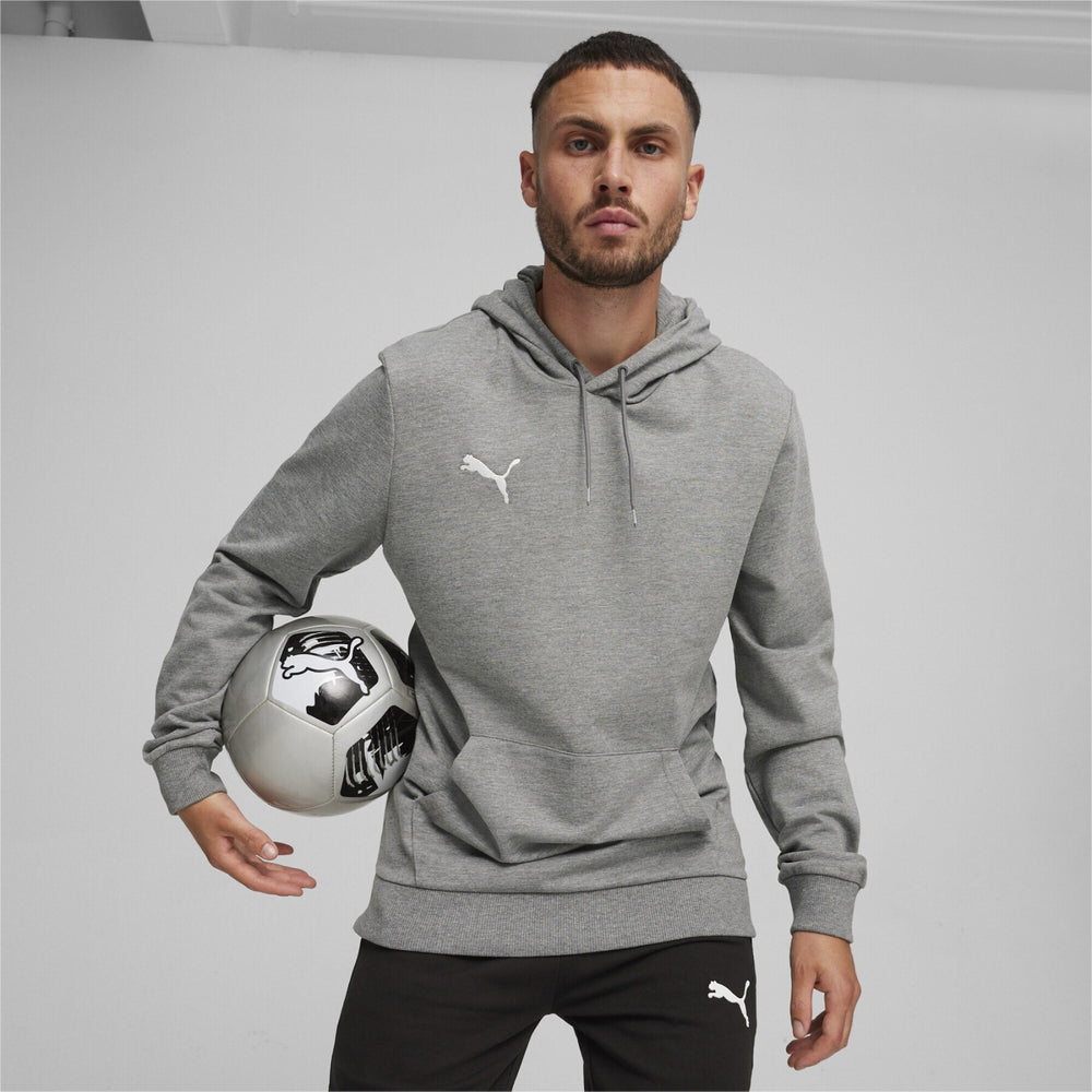 Puma Team Goal Sweat à Capuche Gris Homme