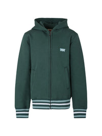 Levi's Kids Sweatshirt à Capuche Verte Enfants Garçons — immagine 1