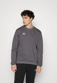 Adidas Entrada 22 Sweat-shirt col rond gris homme — immagine 2