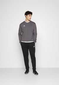 Adidas Entrada 22 Sweat-shirt col rond gris homme — immagine 4