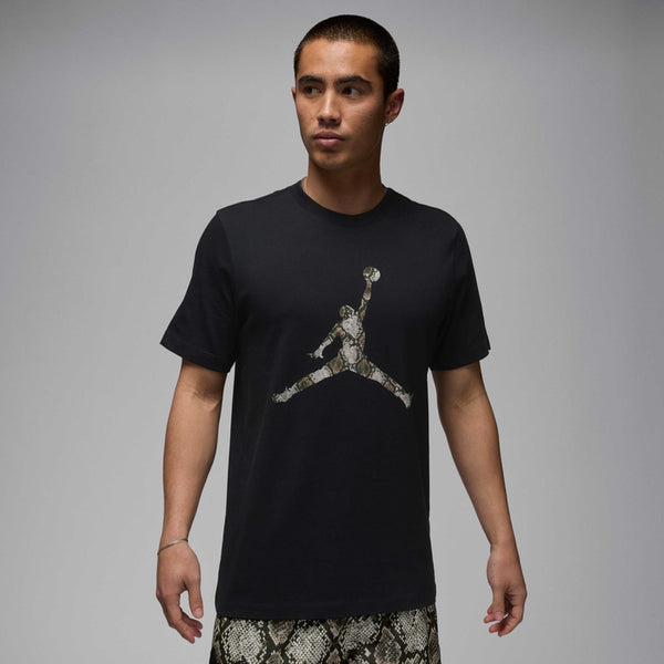 jordan men jordan sport dri fit tee black sail