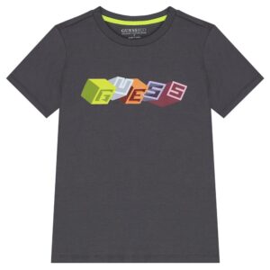 Guess Ss T-shirt Grigia Bambino
