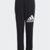 Adidas Essentials Regular Fit Big Logo Pantaloni Tuta Neri Bambini