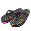 Champion Flip Flop Slipper Big Classic Evo Infradito Multicolore Donna