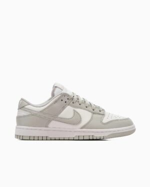 Nike Dunk Low Retro Scarpe Grigie Uomo