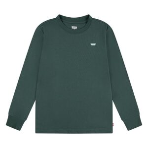 Levi's Kids LVB Batwing Chesthit Tee LS, Bistro Green