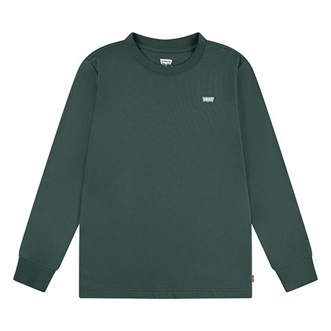 Levi's Kids LVB Batwing Chesthit Tee LS, Bistro Green