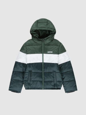 Levi's gubbino Multicolore  bambino