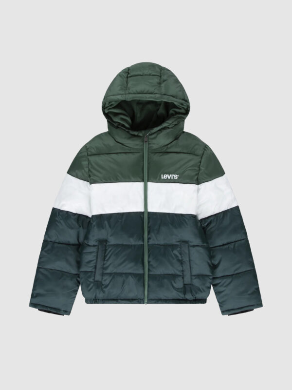 Levi's gubbino Multicolore  bambino