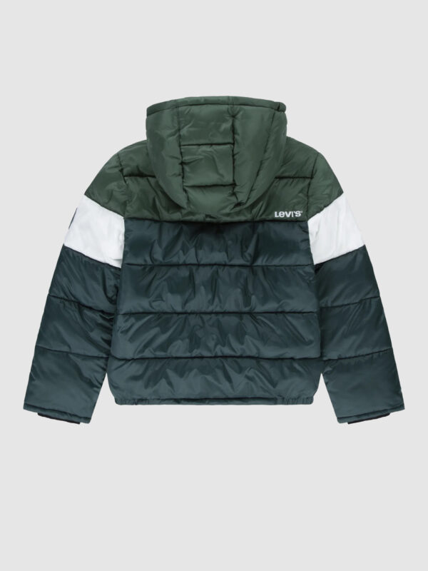 Levi's gubbino Multicolore  bambino
