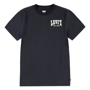 Boys Valley View Graphic Tee – Levi's